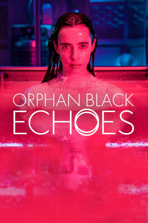 Orphan Black Echoes : 1.Sezon 6.Bölüm
